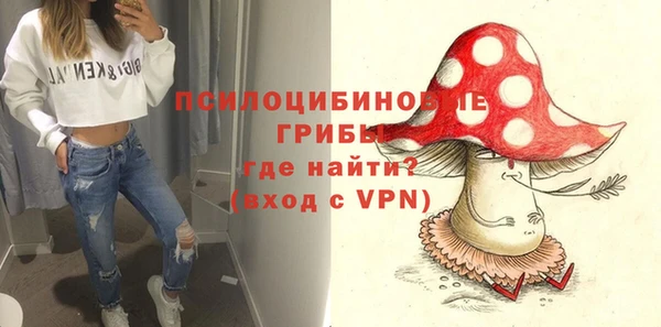 индика Кулебаки