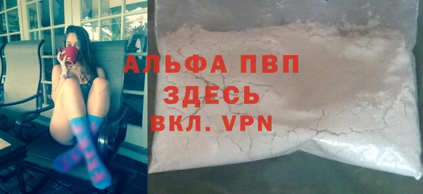 индика Кулебаки