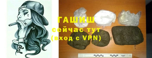 индика Кулебаки
