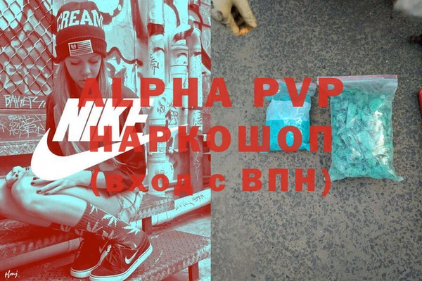 индика Кулебаки