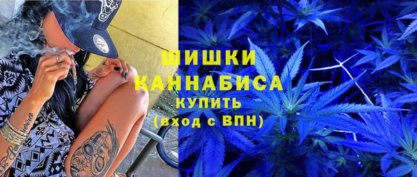 индика Кулебаки