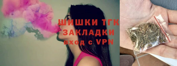 индика Кулебаки