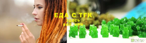 индика Кулебаки
