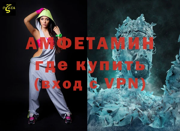 индика Кулебаки