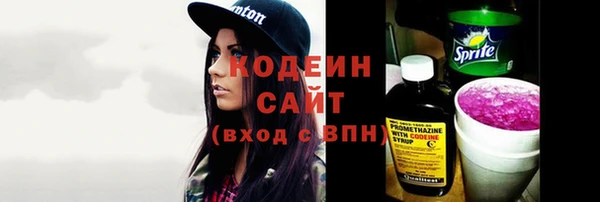 индика Кулебаки