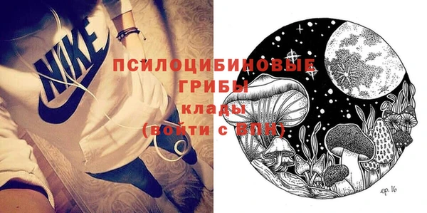 spice Куйбышев