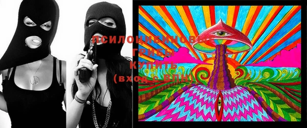 индика Кулебаки