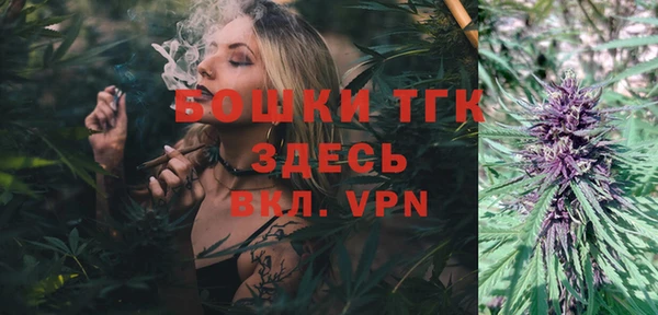 индика Кулебаки