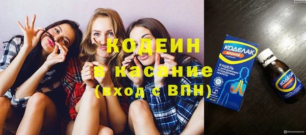 индика Кулебаки