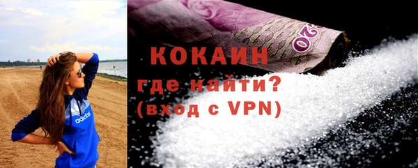 индика Кулебаки