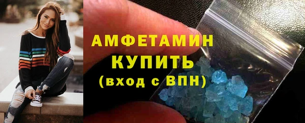 индика Кулебаки