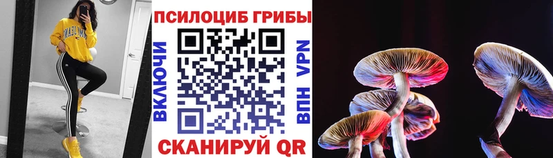 Галлюциногенные грибы прущие грибы  Афипский 